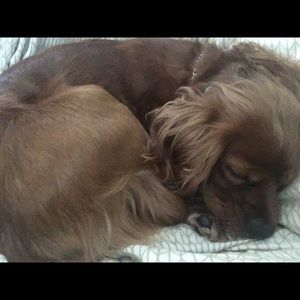 Meet your Posher, Isabel